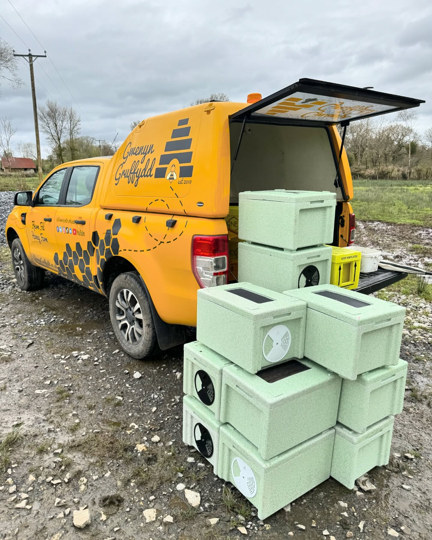 A Business Creating Some Buzz.