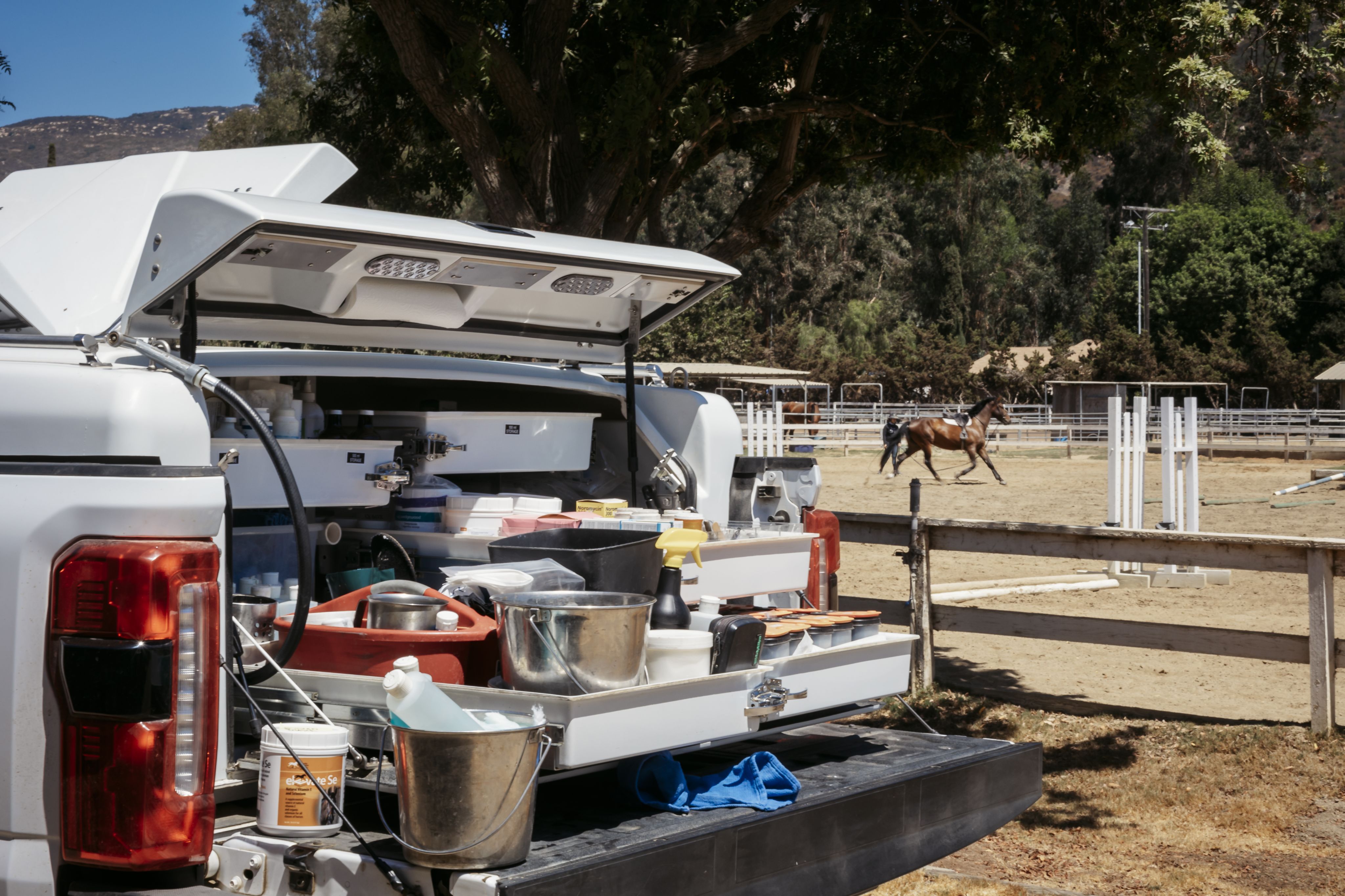 Horsepower to Go: Ford Mobile Service Supports Equine Vet on the Road