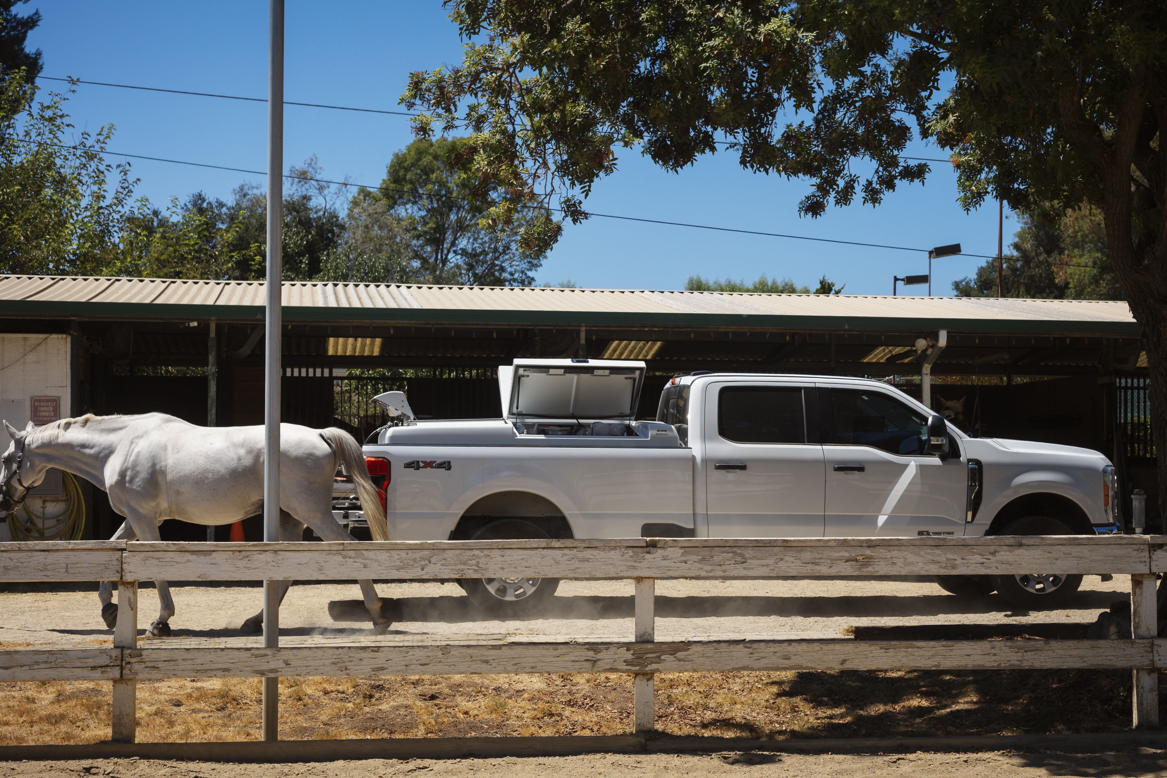 Horsepower to Go: Ford Mobile Service Supports Equine Vet on the Road