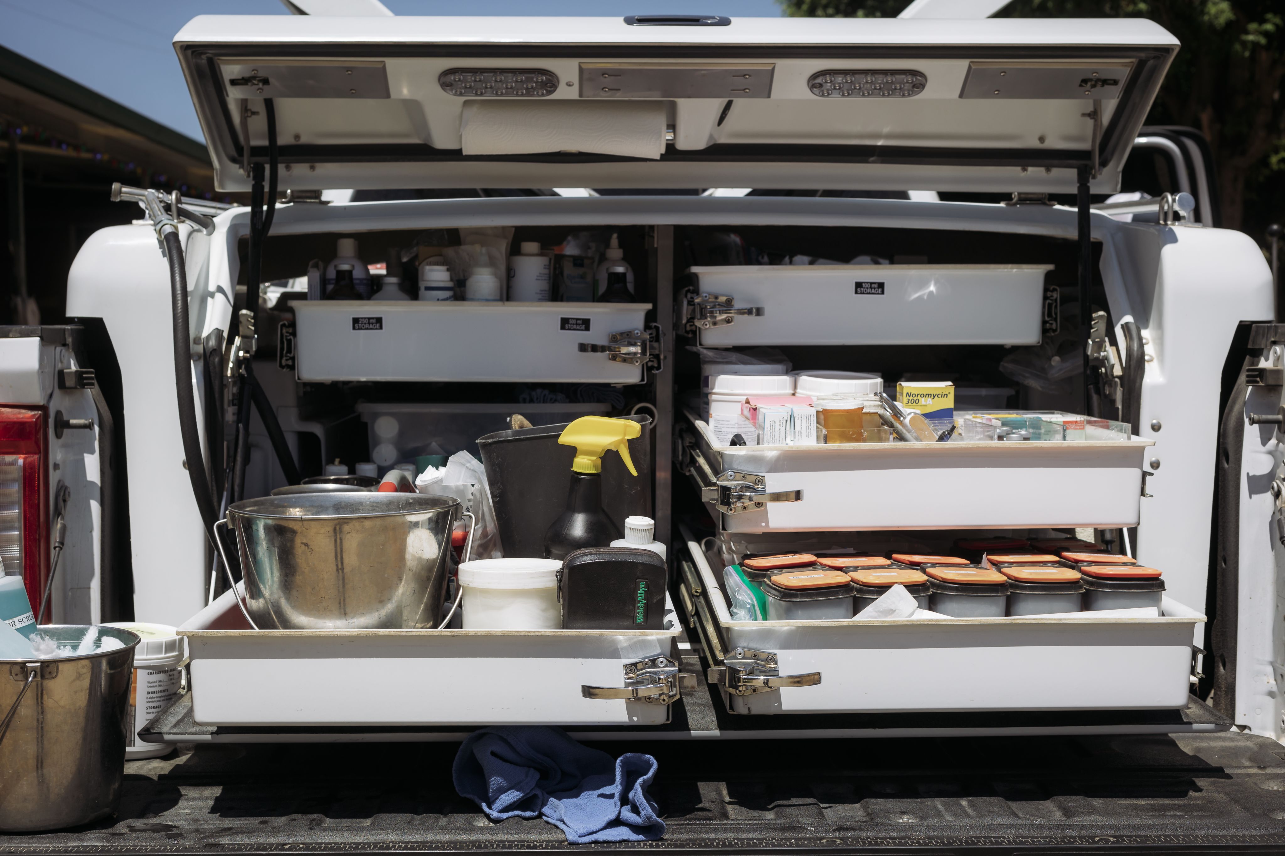 Horsepower to Go: Ford Mobile Service Supports Equine Vet on the Road
