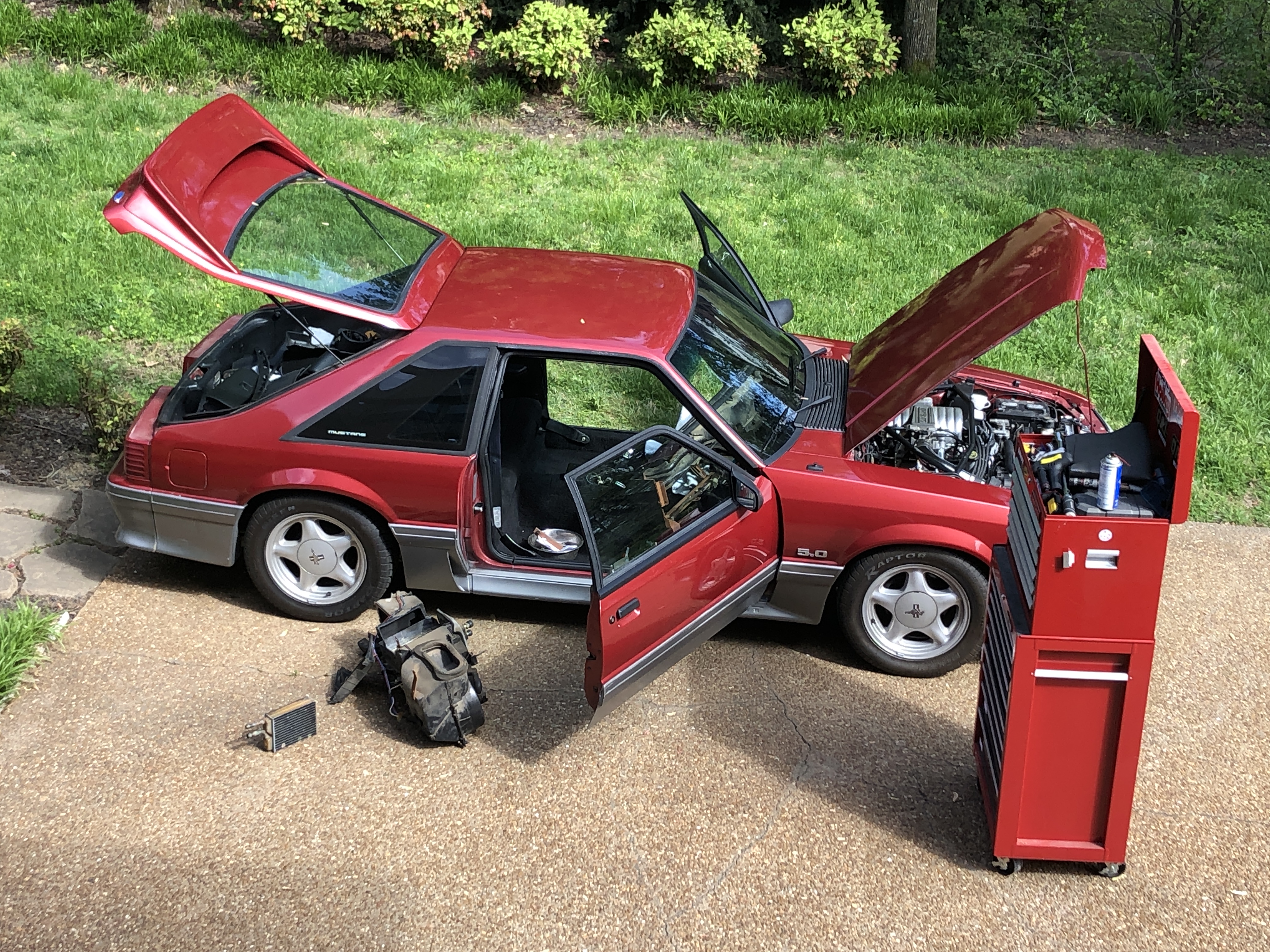 A metal sign reading "The Legend Lives - Mustang" with the Mustang logo on it is displayed beneath the hood of a blue Mustang. A red Mustang is in the background with people walking by to see.