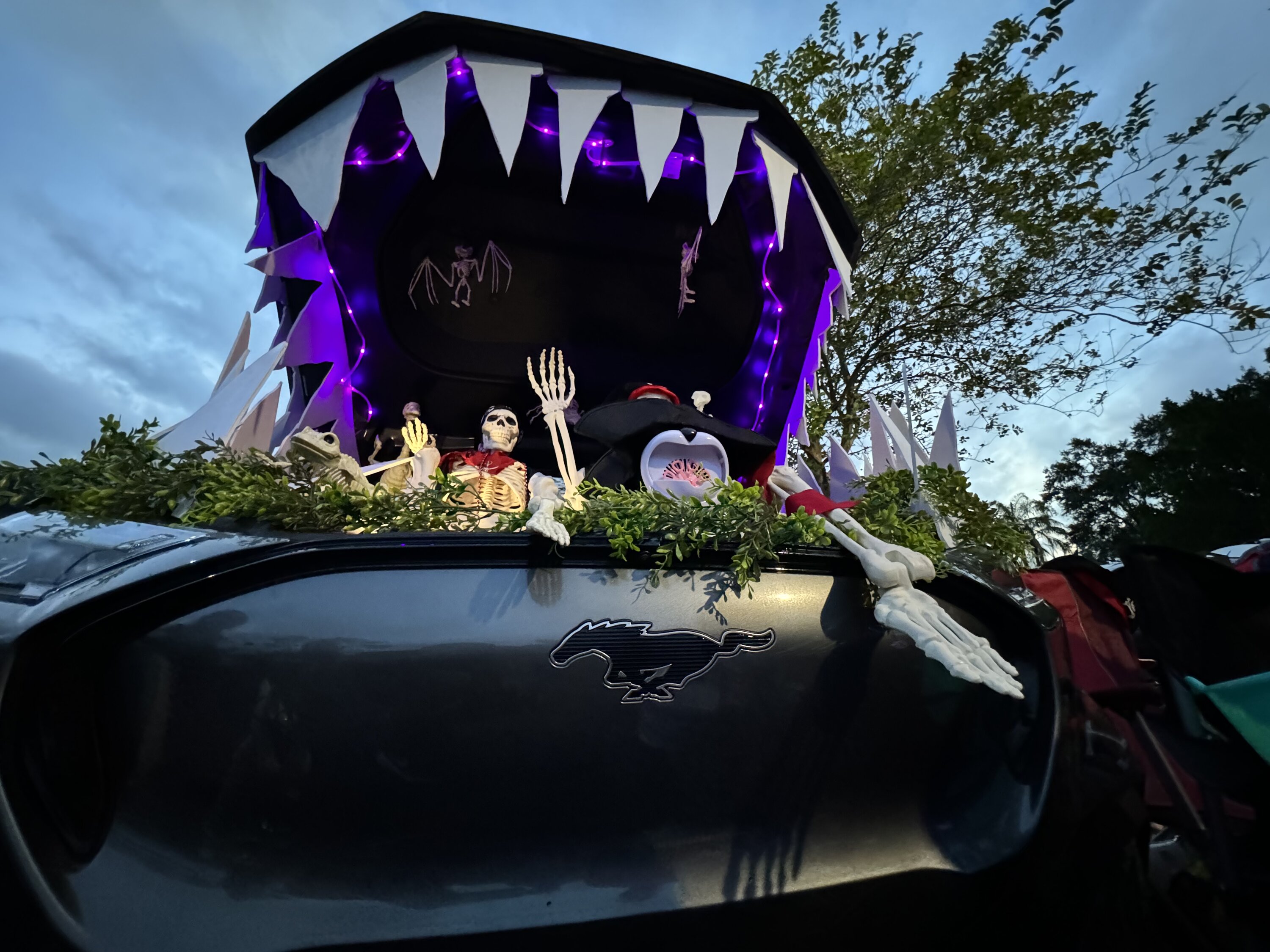 Chris M., Fl. Consult your owner's manual for guidance about operating your frunk.