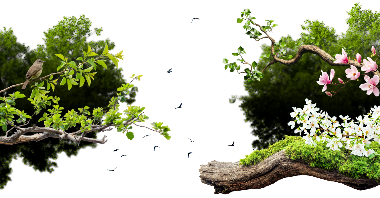 Reconnecting with the natural world doesn't have to be complicated.